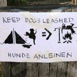 keep_dogs_leashed.jpg