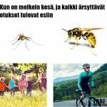 kesa_on_pian_taalla.jpg