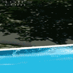 kesä_kivaa.gif