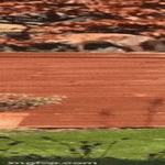 ketun_heratys2.gif