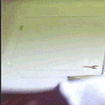 kfc.gif