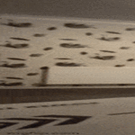 kierrevoltti.gif