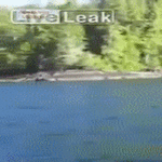 kiitti_ruuasta.gif