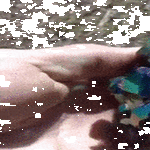 kimaltaa.gif