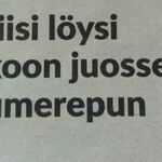 kipitti_karkuun.jpg