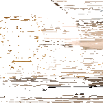 kips_kops5.gif