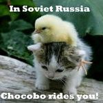 kissa38.jpg