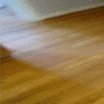 klonks6.gif