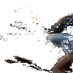 kohti_tulee.gif
