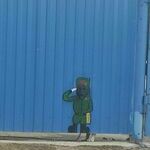 koiran_luukku.jpg