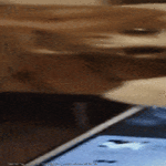 koppi6.gif