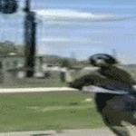 kops_sori.gif