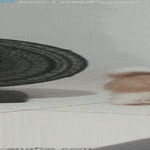 koripalloilija_edellisessä_elämässä.gif