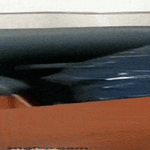 kova_muna.gif