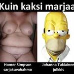 kuin_kaksi_marjaa_homer_simpson.jpg