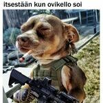 kuka_siela_taas_on.jpg