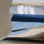 kukkkuuu.gif