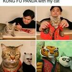 kungfupanda_with_my_cat.jpg
