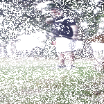 kuohuvat.gif