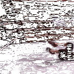 kuperkeikan_harjoittelua.gif