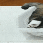 kuperkeikka6.gif