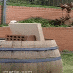 kuppiin.gif