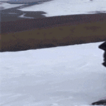 kuvaatulee1.gif