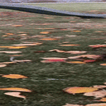 kärrynpyörä.gif