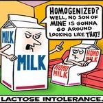 lactose_intolerance.jpg