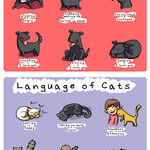 languages_of_dogs_and_cats.jpg