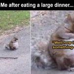 large_dinner.jpg