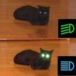 laser_cat.jpg
