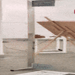 lasiovet2.gif