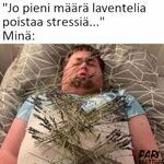 laventelii.jpg