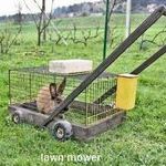 lawnmower.jpg
