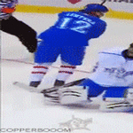 lehtera_sujauttaa.gif