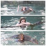 lemmikin_kans_uimassa.jpg