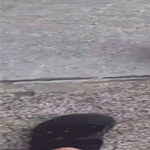 lenkilla_pienen_ystavan_kanssa.gif
