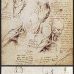 leonardo_da_vinci_s_original_anatomical_sketches.jpg