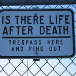 life_after_trespass.jpg