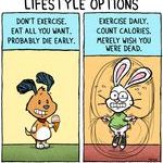 lifestyle_options.jpg