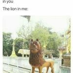 lion04.jpg