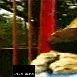 lion_hug.gif
