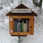 little_free_library.jpg