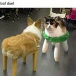 loaf_duel.jpg