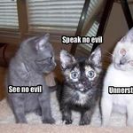 lolcats_evil.jpg