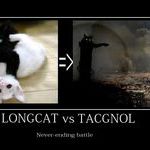 longcat_vs_tacgnol.jpg