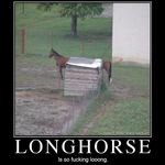 longhorse.png