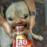 lookthis.jpg