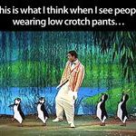 low_crotch_pants.jpg